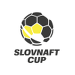 Coupe de Slovaquie