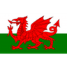 Wales U19 logo