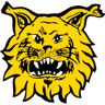 Ilves logo
