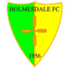 Holmesdale logo