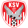 SV Kapfenberg logo