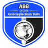 Black Bulls Maputo logo