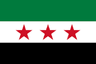 Syria U20 logo