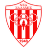 Nea Salamis logo
