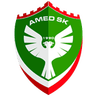 Amed logo