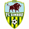 Zimbru logo