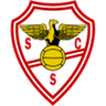 Salgueiros logo