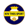 Thes Sport logo