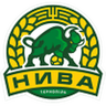 Nyva Ternopil logo