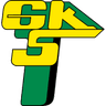 Górnik Łęczna logo