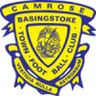 Basingstoke Town logo