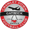 Crawley Down Gatwick logo