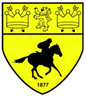 Newmarket Town logo