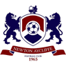 Newton Aycliffe logo