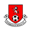 Tunbridge Wells logo
